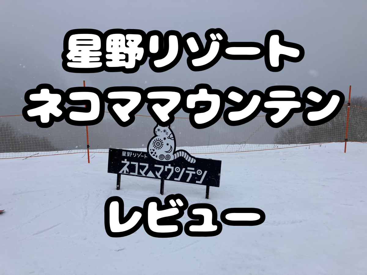 ネコママウンテンスキー